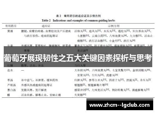葡萄牙展现韧性之五大关键因素探析与思考